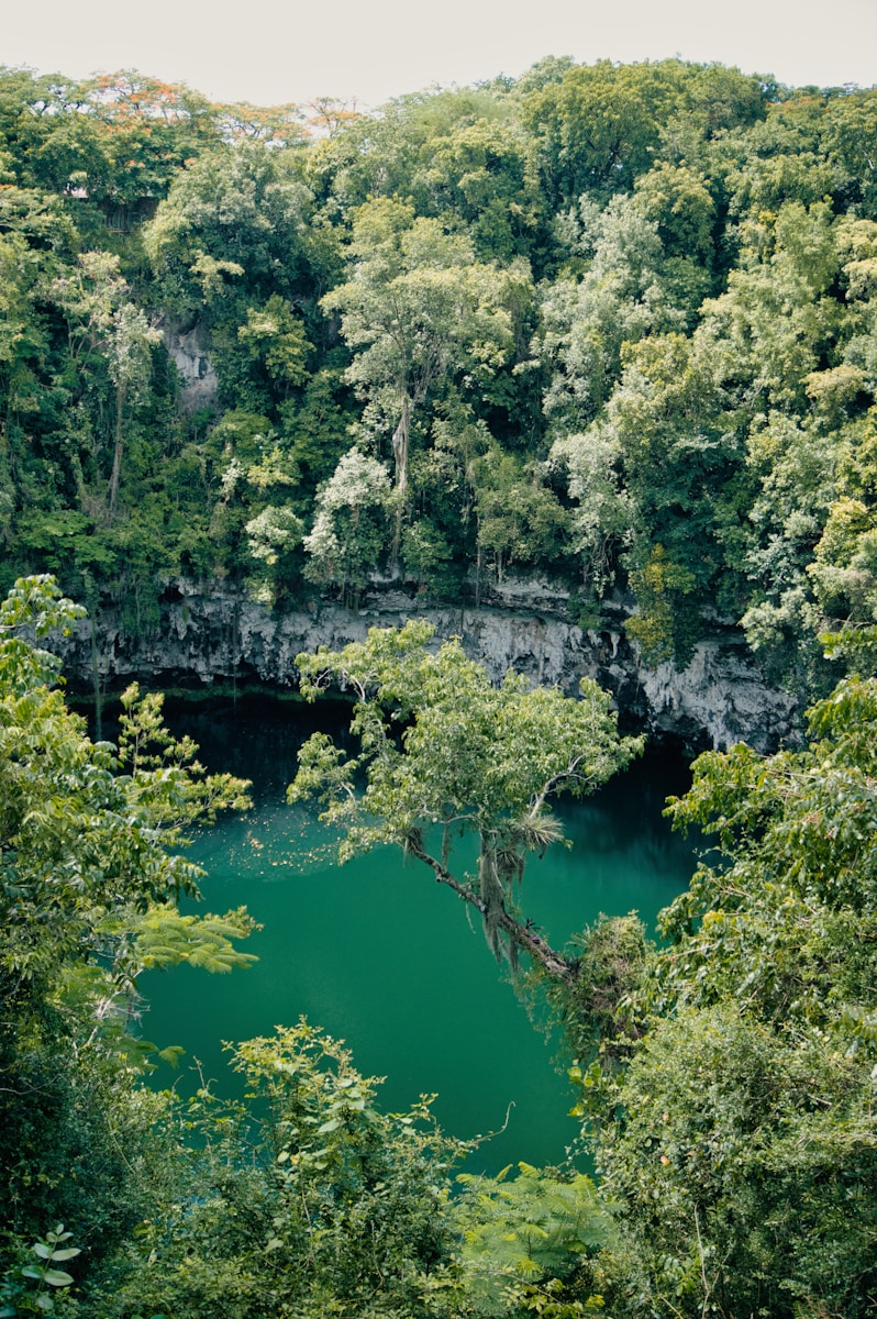 Lush green forest surrounds a vibrant turquoise cenote.